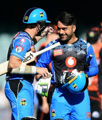 Rashid Khan Cricket Sport Melbourne Stars Sydney Thunder