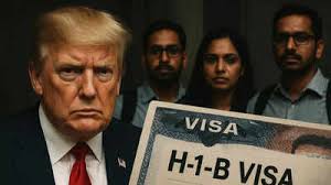 Busting myths! H-1B visa holders are not 'cheap labour'