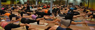 Goat yoga texas mom fitness breathe yoga dance camp gladiator; Samatone Yoga In Addison Texas Samatone Yoga Addison Tx