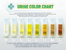 Image Result For Urine Color Chart Color Of Urine Pee