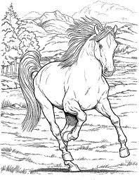 12 bilder von deiner lieblingsfigur. Horse Coloring Pages For Girls Mit Bildern Ausmalbilder Pferde Schone Free Printable Sheets Realistic Dialogueeurope