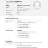 Lebenslauf tabellarischer lebenslauf ausführlicher lebenslauf lebenslauf englisch curriculum vitae (cv) résumé kurzprofil. 3