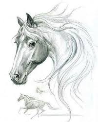 Pin By Jana Broucilova On Wall Art Horse Art Drawing Animal Drawings Pencil Drawings