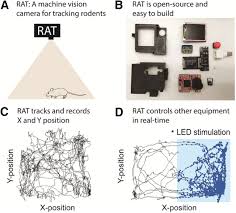 Rodent Arena Tracker (RAT): A Machine Vision Rodent Tracking Camera and  Closed Loop Control System | eNeuro