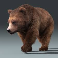 Brown Bear 3 Fur 3d Model In 2020 Brown Bear Bear Fur