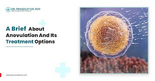 Image result for Anovulation