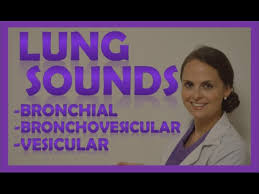 Lung Sounds Normal Bronchial Bronchovesicular Vesicular Breath Respiratory Sounds Youtube