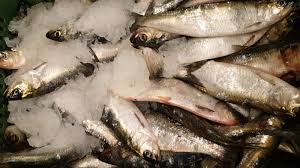 Profita de preturile avantajoase in tot judetul in centru sau spre periferie vrem doar să îţi spunem că această căutare cu peste 5000 de anunţuri va genera foarte multe notificări pe zi. Livnik Fish Trade Ploiesti Home Facebook