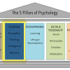 Articulate how psychological principles can be used to explain social issues and inform public policy. Https Encrypted Tbn0 Gstatic Com Images Q Tbn And9gcscmbw3swl79yn9siha7d0nzlrdzvqqaxfpxx To4am D8xdszg Usqp Cau