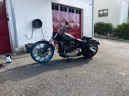 Does anybody have side bags