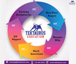 Tektaurus Education 1 It Training Placement Company In 2020 Education Education Resume Interview Training