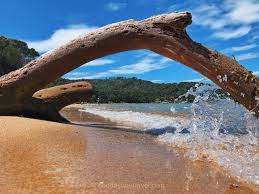 Iles D Hyeres Quelle Ile Choisir Porquerolles Port Cros Ou Le Levant Porquerolles Port Cros Hyeres