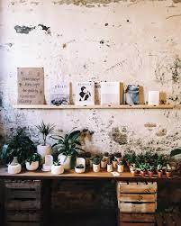 Joliu On Instagram Plants Magazines Driftmagazine Kinfolk Cerealmag Instagram Posts Kinfolk Decor