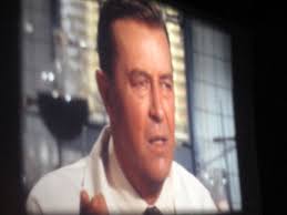 what about the plastic animals?: