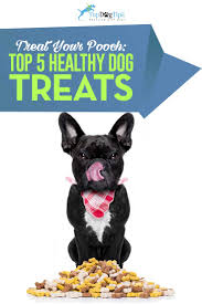 Over time this can lead to serious developmental. Top 9 Best Healthy Dog Treats Of 2019 All Natural Organic Ingredients