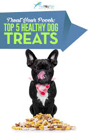 When it comes to making a homemade best 20 low fat dog food recipes , this recipes is always a favored whether you want something very easy and also quick, a make ahead supper concept or something to offer on a chilly winter season's night, we have the ideal recipe suggestion for you below. Top 9 Best Healthy Dog Treats Of 2019 All Natural Organic Ingredients