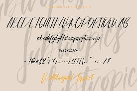 Check out these fancy fonts with elaborate swirls and flourishes. Subtropics Fancy Calligraphy Font Dfonts