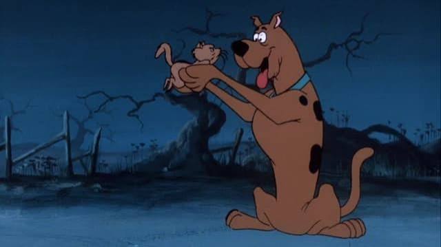 Watch Scooby-Doo Where Are You? Streaming Online | Tubi Free TV