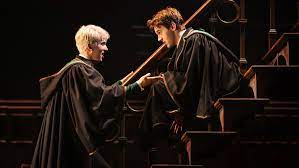 Harry Potter and the Cursed Child is a gay love story
