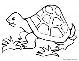 And what is the difference between the two silly reptiles? Tortoise Coloring Page Central