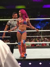 Sasha Banks Wwe Divas Paige Wwe Sasha Banks Wwe Female Wrestlers