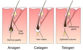 Laser Hair Removal Toronto Cosmetic Clinic