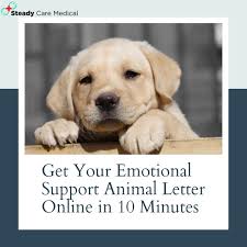 An Official Letter From Our Licensed Physicians Allow You To Live And Fly With Your Pet Legally Ha Emotional Support Animal Animal Letters Emotional Support