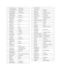Adjectifs De Personalite