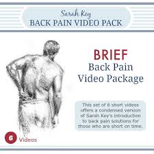 The facet joints, zygapophyseal joints, are at the back of the spine. Back Stretching Exercises