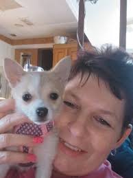 PLEASE HELP ME FIND MY BABY ARTHUR VERY SHY LOST BY PELLA HY VEE AND PELLA  MOTORS. PLEASE CHIPPES 641 799 7783