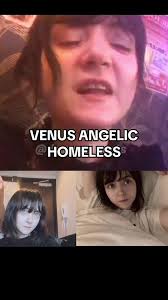 Venus Angelic Account
