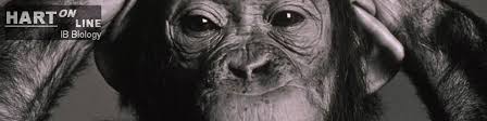 Somatic cells reproduce by dividing, a process called mitosis. Channel 4 Inside Nature S Giants The Camel