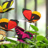 Feng shui isn't about achieving perfection; 1