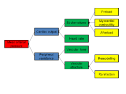 What impact would low blood pressure have on the kidneys. Hypertension Wikipedia