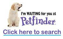 Animal shelters dog & cat grooming & supplies dog & cat furnishings & supplies. Animal Welfare Programs Services Sandoval County