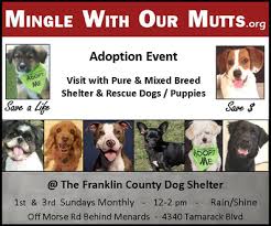 Mbr is a small group of people who try to help as many we work with humane officers, veterinarians and shelters in the state of ohio to help dogs that are being. Mingle With Our Mutts