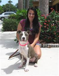 We have puppies for sale and the pit bull information you are looking for. Blue Nose Pit Puppy Needs A New Pack