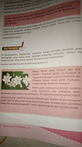 Tulis kesimpulanmu menggunakan 3 kalimat tentang bacaan tadi. Tulislah Kesimpulan Pada Tempat Yang Disediakan Brainly Co Id