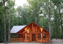 Cabin ∙ 4 guests ∙ 1 bedroom. Single Bedroom Cabins