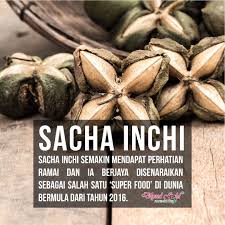 Bon berkembar, asid lemak perlu, hdl, ldl, asid lemak tak tak tanpa mutu, asid lemak tak seltur, asid lemak tidak tak seluruh. Dlynd Gold Sachainchidg Twitter