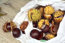 Per cucinare le castagne secche in modo originale vi suggeriamo alcune ricette e consigli che vi una volta lasciate in ammollo, eliminate le eventuali pellicine ancora presenti sulle castagne. Castagne Cotte Al Varoma Bimby Il Procedimento Completo Food Blog