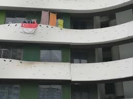 Jan 10, 2021 · moreover, waterway terraces i launched not just with a different architecture, but with a novel design narrative in mind: Punggol Residents Rattled By Cracked Exterior Wall Of Housing Block Hdb Says No Structural Issues Today