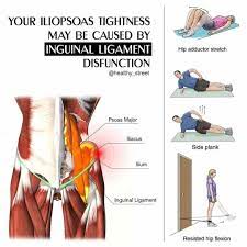 It forms the base of the inguinal canal through which an indirect inguinal hernia may develop. Healthy Street Iliopsoas Tightness Caused By Inguinal Ligament Disfunction Anatomy Function The Inguinal Ligament Is A Constricted Band Of Thick Fibrous Connective Tissues Which Are Present In The