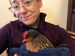 Egg bound chicken symptoms and treatment options
