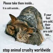 Please Bring Your Animals Inside Animal Pics Pinterest Animal Cruelty Quotes Animals Pets