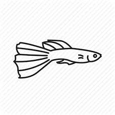 Fish Fresh Water Guppy Millionfish Rainbow Fish Salt Water Tropical Fish Icon Download On Iconfinder Fish Icon Guppy Rainbow Fish