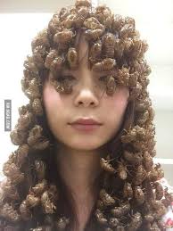 Cicada shell location and rarity. Cicada Shells 9gag