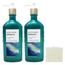 Amazon.com: Bath & Body Works Aromatherapy Northern Brights Eucalyptus &  Pine