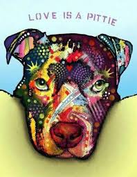 Pin On Pit Bull Pics