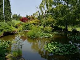 Italienische Garten Am Gardasee Ein Gartentraum Italienischer Garten Mediterraner Garten Garten